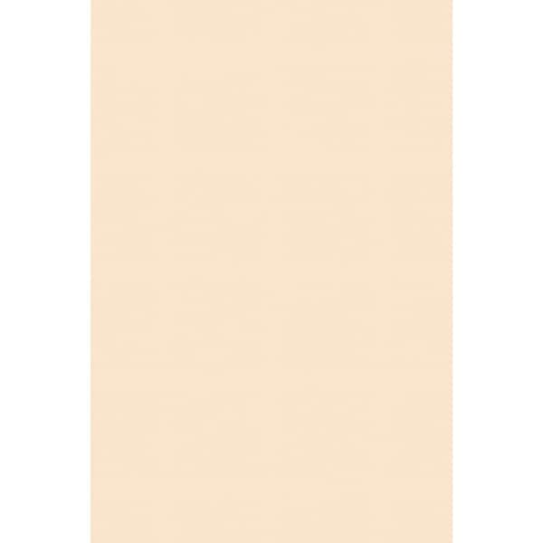 Pacon Tagboard, Hw, 24X36, Mla, 100Sh Pk PAC5126 - main